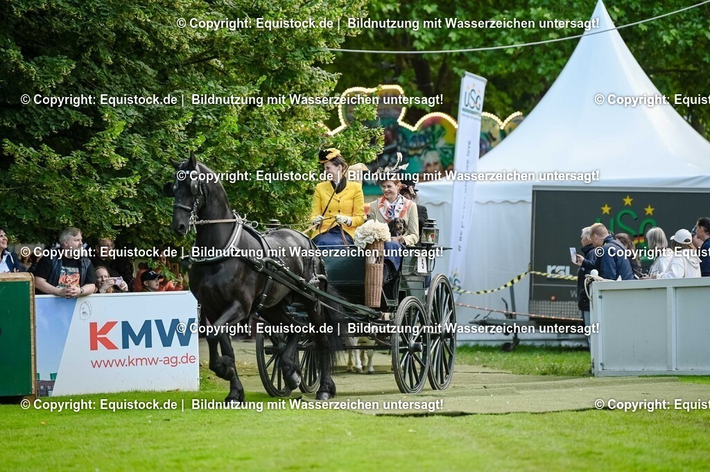 20250606_Lange-Pferdenacht_0056 | Foto: Thomas Hartig