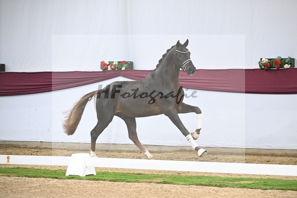 Kat-Nr. 126 Va Bene x Fuerst Jazz_Johannes Gaab_47254195 | hf-fotografie - Realisiert mit Pictrs.com