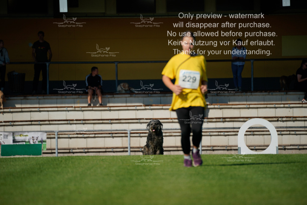 Samstag_Gehorsam_V2 (70) | stephaniefillaphotographie - Realisiert mit Pictrs.com