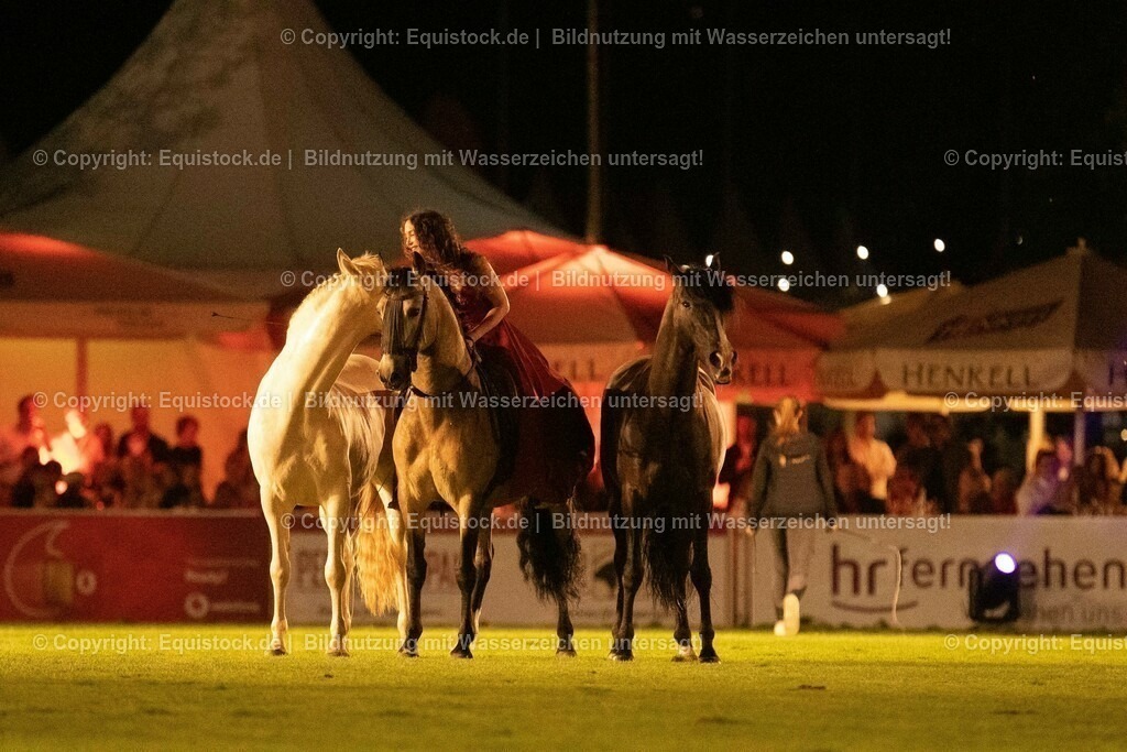 20230526_Pferdenacht_1507 | equistock