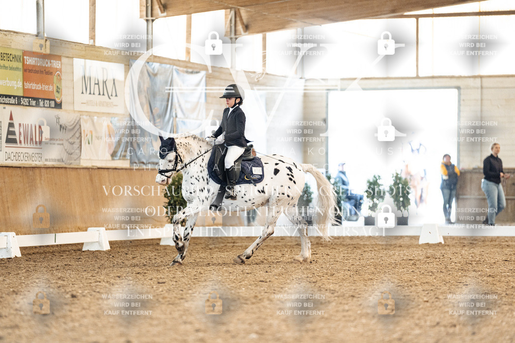 CK908934 | Turnierfotografie Pferdefotografie Trier Rheinland-Pfalz Pferdesport Reitsport Tierfotografie Sportfotografie Pferdevideo Pferdevideografie Equestrianvideography equestrianphotography  - Realisiert mit Pictrs.com