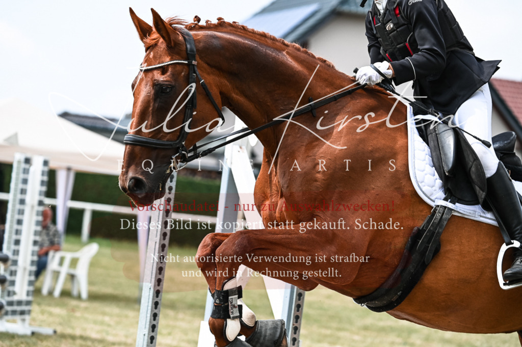 DSC_9006 | Pferde- und Turnierfotografie in Westsachsen. Pferdeportraits, Auftragszeichnungen und intuitive Kunst.