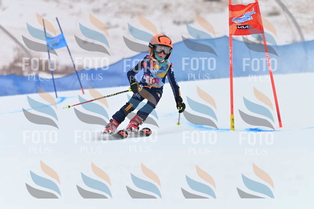 BGV_9385 | holidayphoto