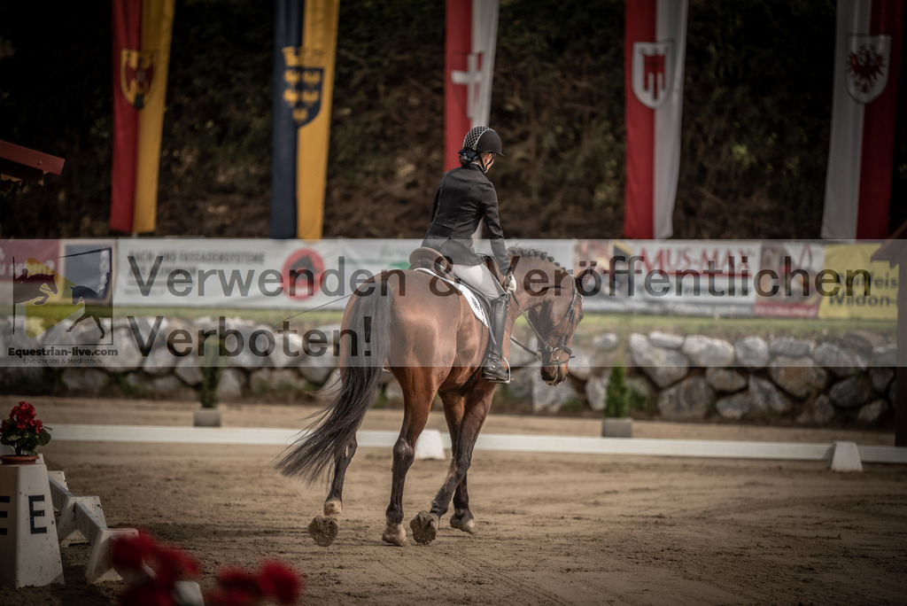 DSC_8285 | equestrian-live-com