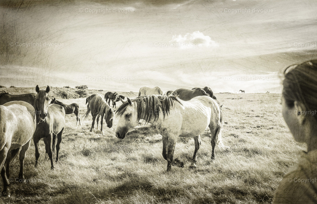 DSC01543 | d-vogue - Realisiert mit Pictrs.com