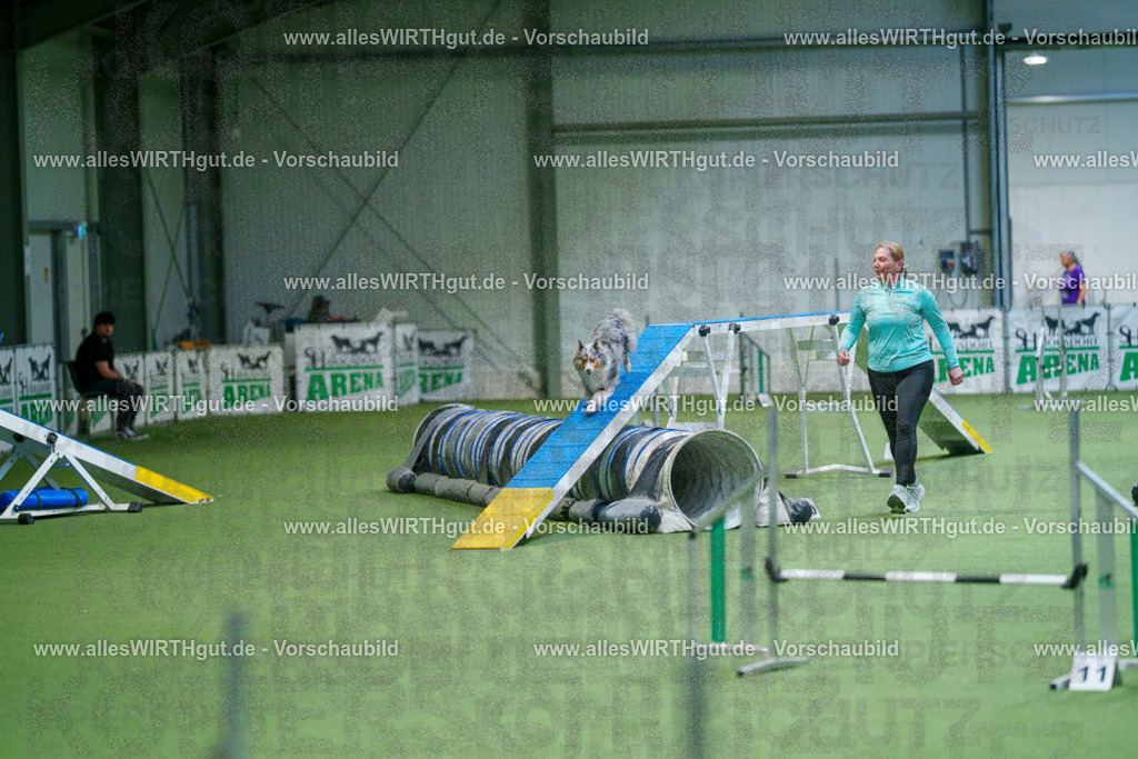 @allesWIRTHgut_Tierfotografie - www.allesWIRTHgut.de - 2604250845-7R507638 | Professionelle Tierfotografie in Mönchengladbach von Daniel Wirth (allesWIRTHgut). Liebevolle & natürliche Bilder von Hunden & Katzen für unvergessliche Erinnerungen.