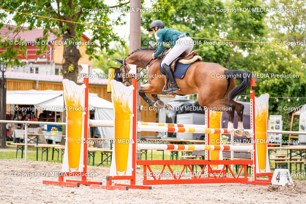 Eppelheim Tag 1-167 | dv-media-shop - Realisiert mit Pictrs.com