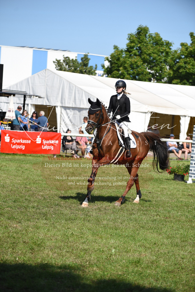 DSC_9173 | Pferde- und Turnierfotografie in Westsachsen. Pferdeportraits, Auftragszeichnungen und intuitive Kunst.