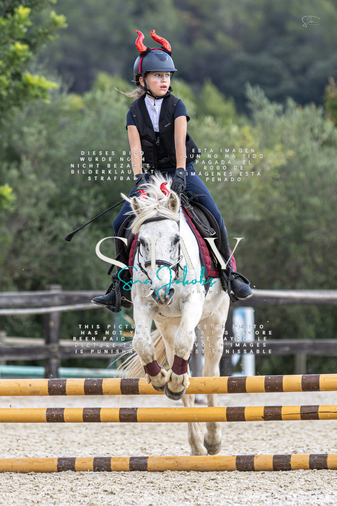 IMG_2287 | s-jay-photography - Realisiert mit Pictrs.com