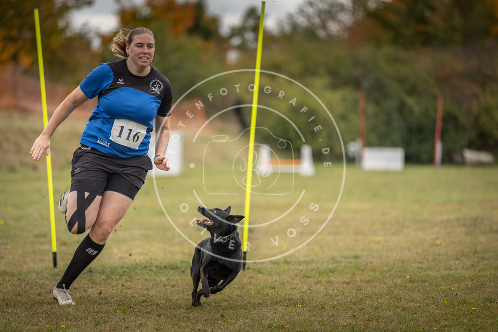 Pfotenfotografie_DV3A7690 | Hundefotografie, Tierfotograf, Pfotenfotografie, Fotoshooting Hund, Hunde Portrait, Hundesport, Hundeportraits, Heideshooting, Hunde, Sportfotograf, Hundefotograf, Turnierhundsport, THS,  - Realisiert mit Pictrs.com