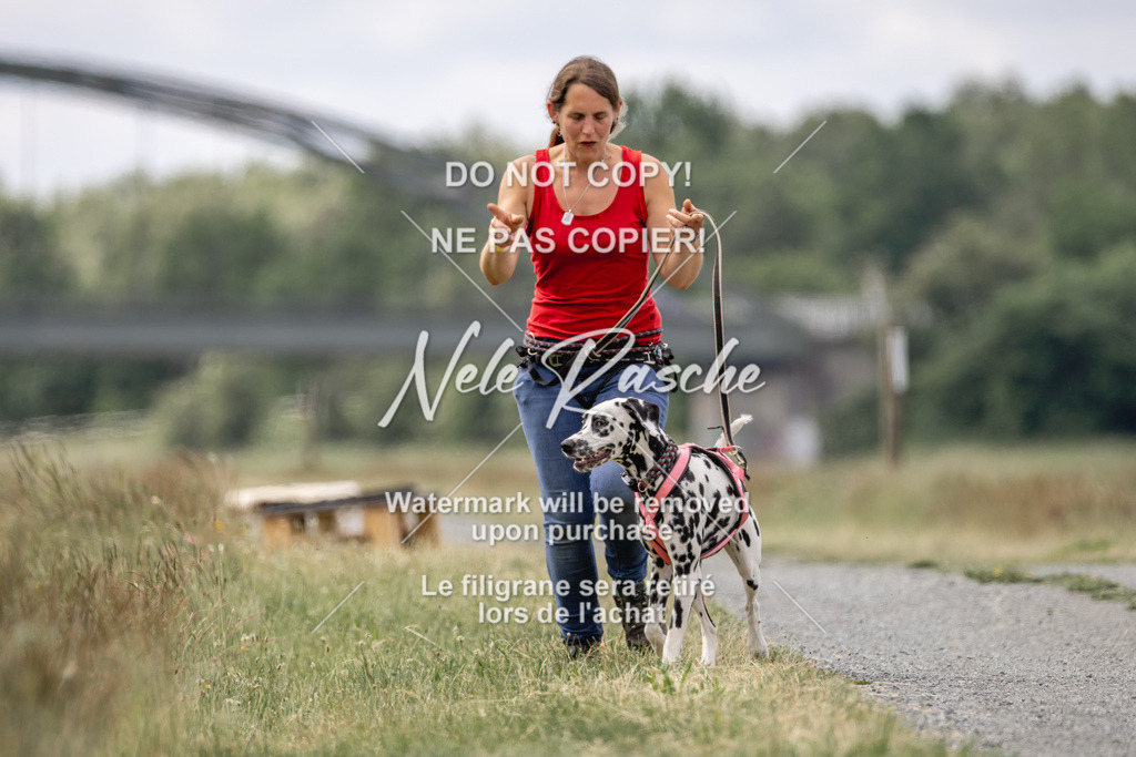 nelerasche_BuHu2026_SaCC1100-1200_74 | nelerasche