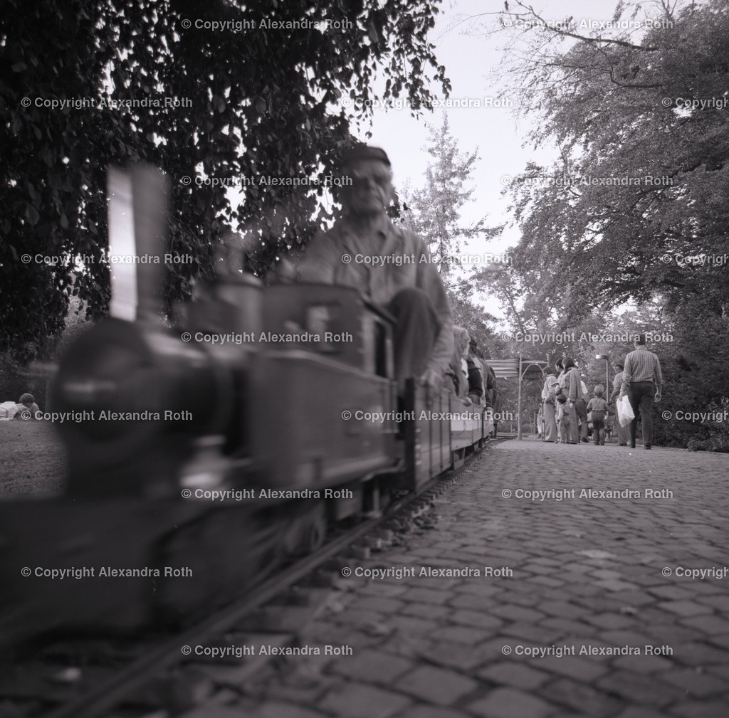 Aarau_0609 | onlineshop - Realisiert mit Pictrs.com