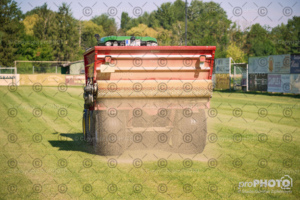 202507_Rernböck-Rasen_NZ9_1275 | proPHOTO - Realisiert mit Pictrs.com