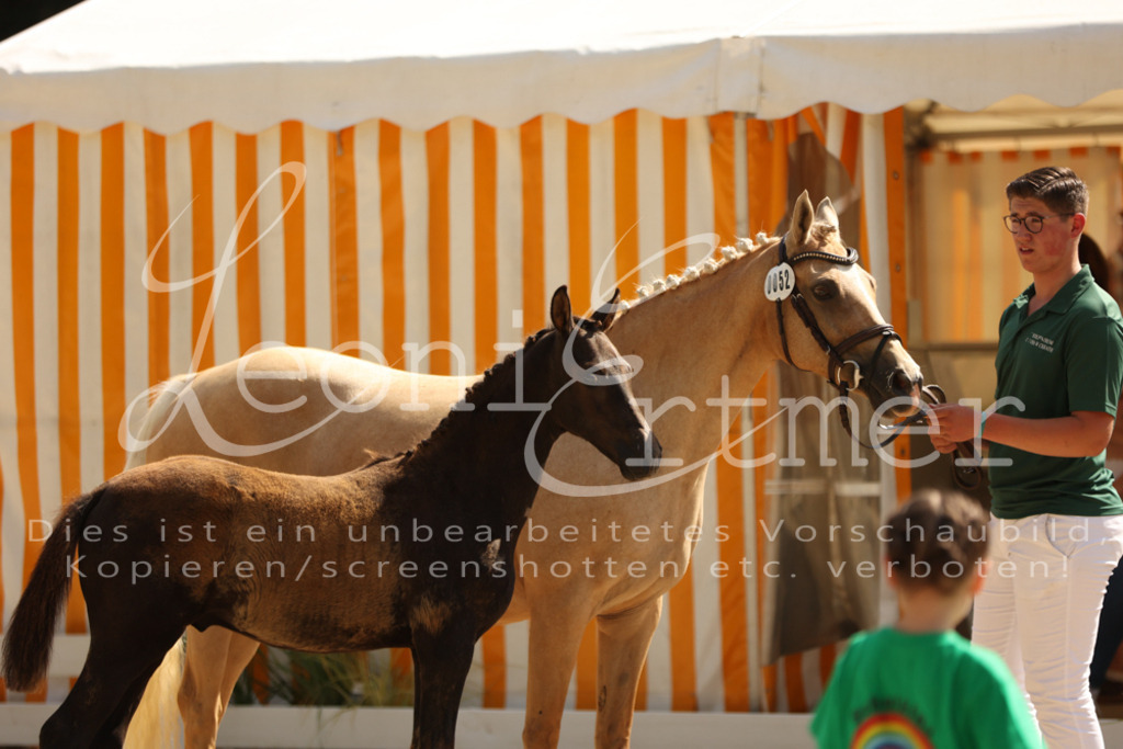 08.DoRPS00042 | Leoni Ertmer Photography - Realisiert mit Pictrs.com