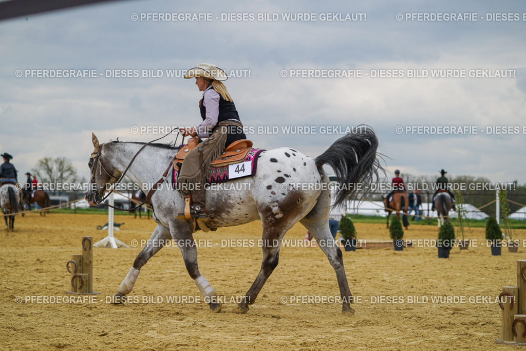 DSC07047 | Pferdegrafie