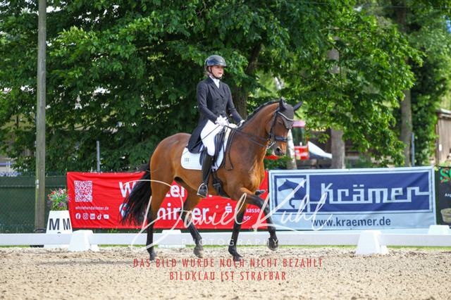 DKP41386 | Deine Turnierfotos vom Reitturnier online kaufen: Dressur, Springen & Siegerehrung. Professionelle Pferdefotografie aus dem Rheinland – als Download & Print.Alternative: Turnierfotograf für den Pferdesport: Finde deine Fotos von Dressur- und Springturnier