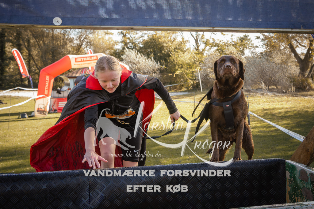 1230_ZZ96761-2 | kk-dogfotos