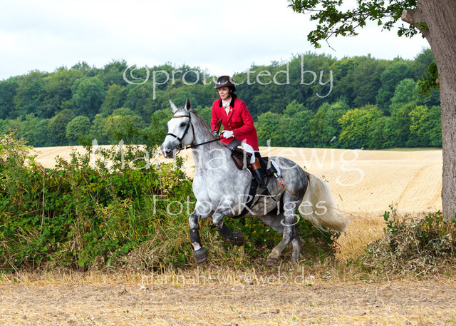 Jagd Knoop 26_MarinaHewigMCH02181 | Fotografie, FotoArt, PferdesportArt, Pferdesportfotografie, Landschaftsfotografie, Reisefotografie, Reise, Pferde - Realisiert mit Pictrs.com