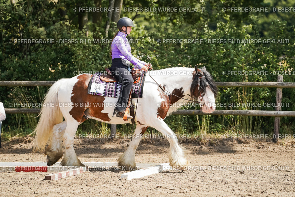 DSC07523 | Pferdegrafie