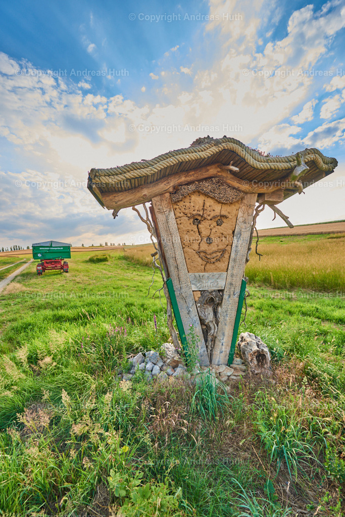 Auf Feldern für Wildpflanzenvermehrung in Grauswitz 02 | Bedeutsame Landschaften Deutschlands - Realisiert mit Pictrs.com