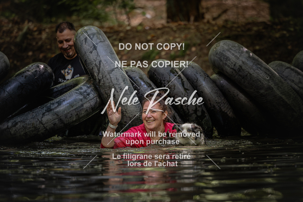 nelerasche_SaWingst1400-1500_353 | nelerasche
