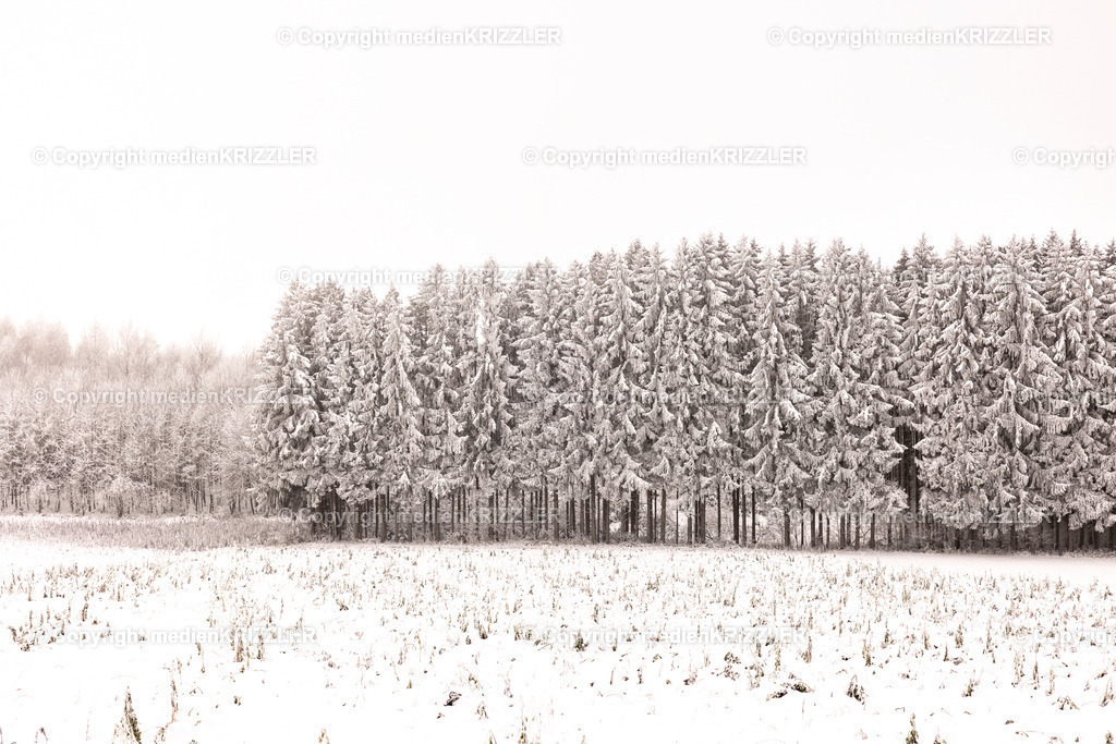 _J3A9619 | medienkrizzler - Realisiert mit Pictrs.com