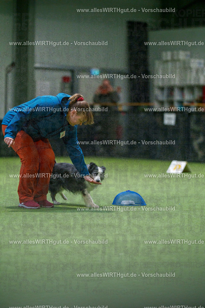 7R504454 | Professionelle Tierfotografie in Mönchengladbach von Daniel Wirth (allesWIRTHgut). Liebevolle & natürliche Bilder von Hunden & Katzen für unvergessliche Erinnerungen.