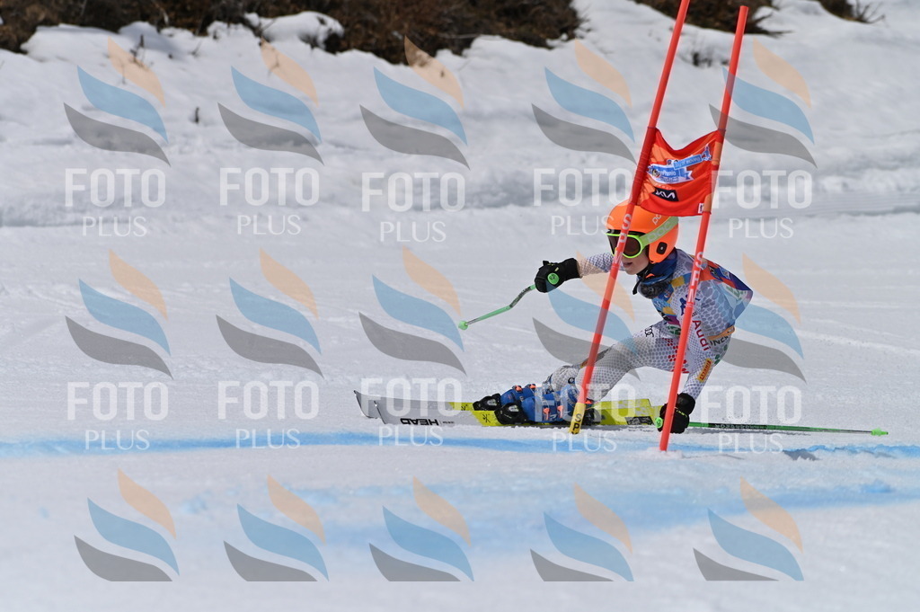 BGV_6376 | holidayphoto