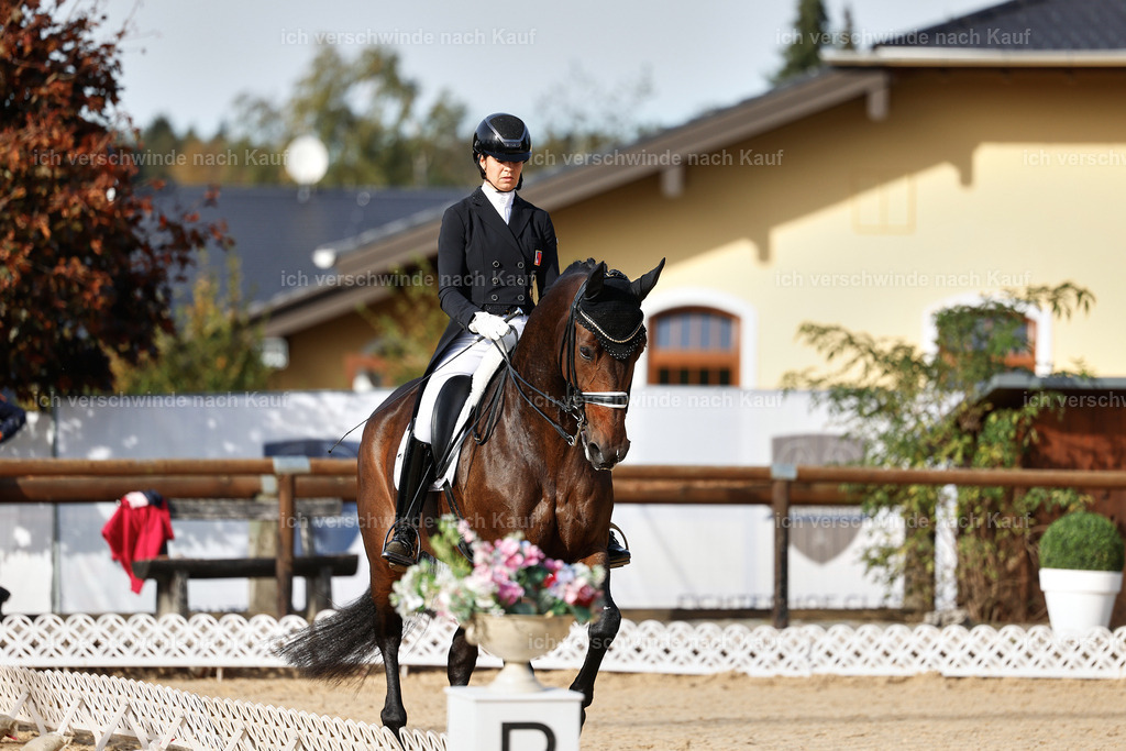 13-110-S___ -StoibPH-6932 | working equitationturnier fotograf videograf stoibphotography marixx film working equitation deutschland reitsport turnierfotografie eventfotografie equestrian events