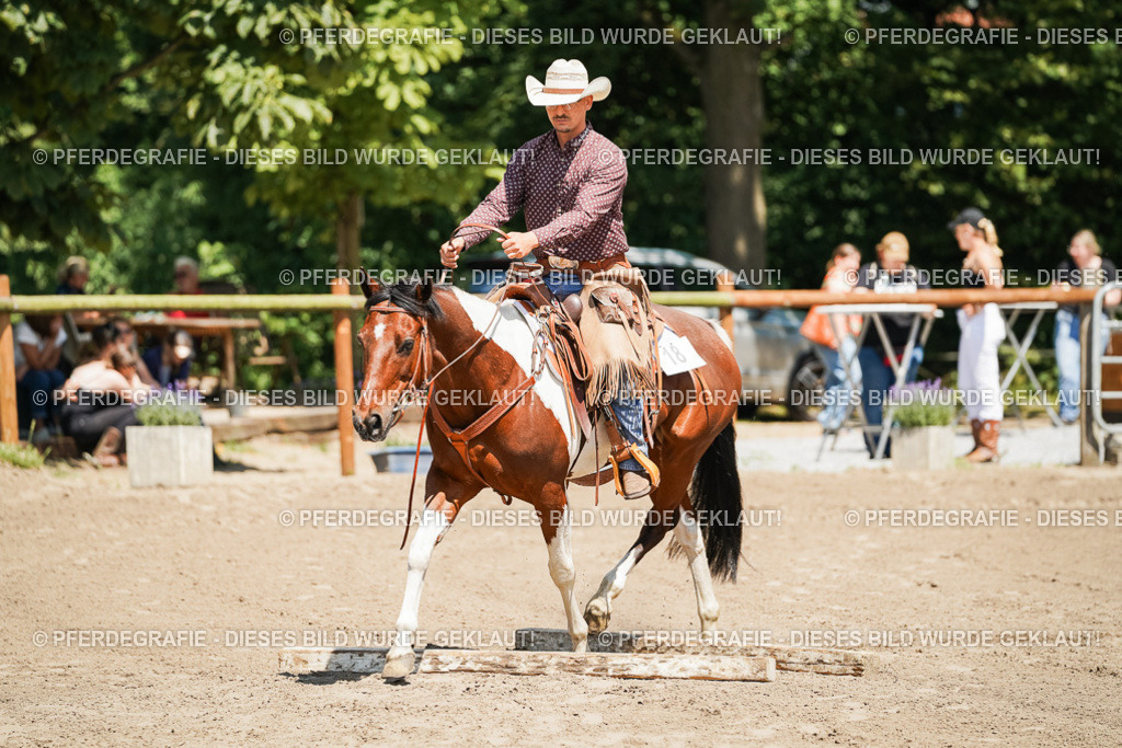 DSC07428 | Pferdegrafie