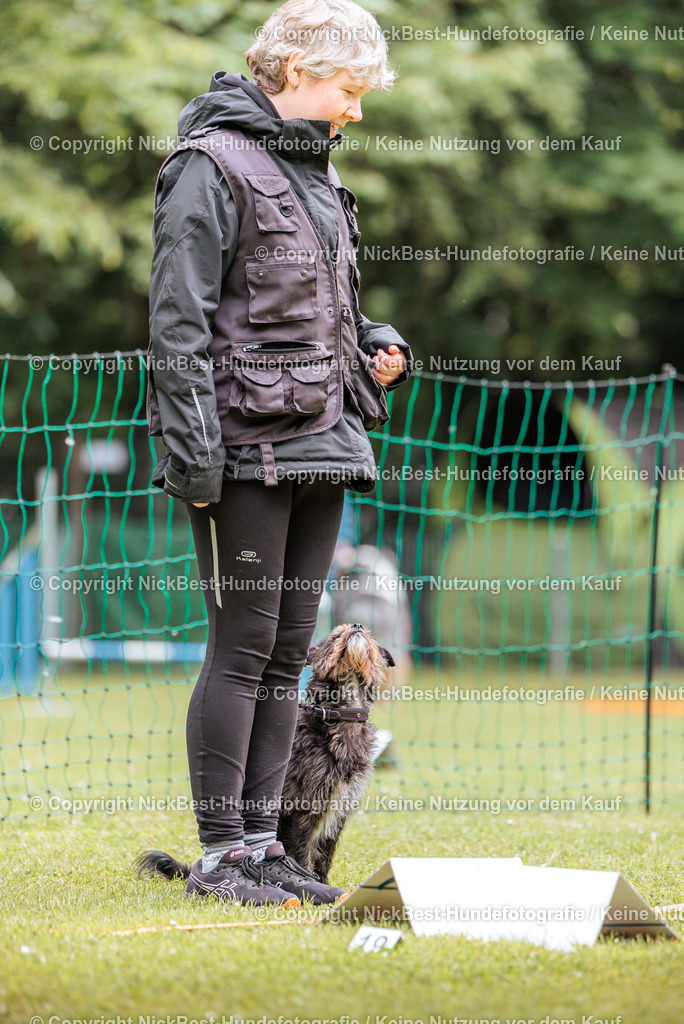 RO-Blumenthal-2026-Nickbest-Hundefotografie-2394 | Dein Hund! Dein Moment! Deine Erinnerungen! Hundefotografie in Bremen Blumenthal. Ich fange die besonderen Momente deines Vierbeiners ein – ob Indoor mit Blitzanlage oder in der freien Natur. Sicher dir dein Moment und dein Termin für eure Erinnerungen.