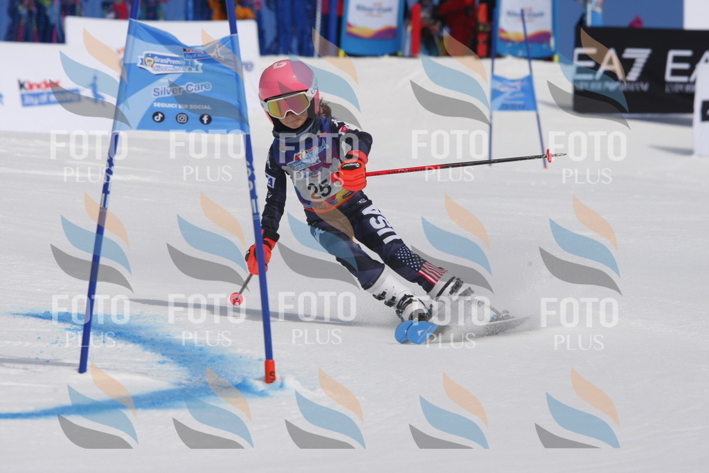 _W1G0328 | holidayphoto