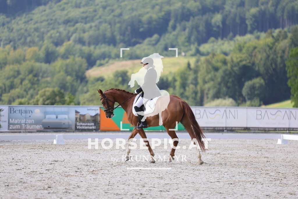 0P6A8974 | Willkommen bei Brunnmayr - Design & Fotografie – Ihrem Spezialisten für Reitturniere und Pferdeveranstaltungen in Oberösterreich, Salzburg und Bayern! Seit über 17 Jahren sind wir leidenschaftlich dabei.