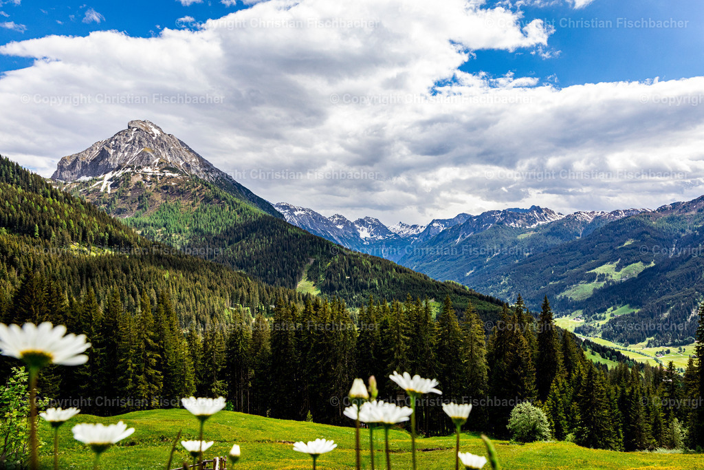 Fotos_Copyright_Chri_Fischbacher_Druck-378 | Bildershop Chri Fischbacher - Realisiert mit Pictrs.com