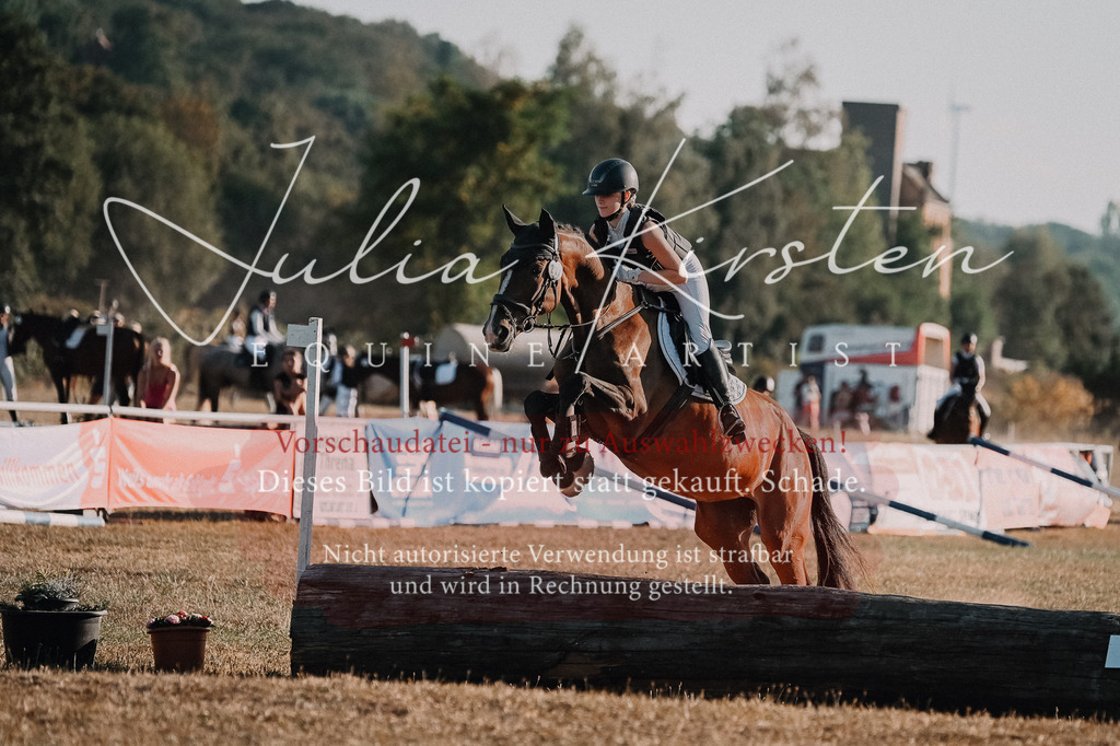 DSC_9141 | Pferde- und Turnierfotografie in Westsachsen. Pferdeportraits, Auftragszeichnungen und intuitive Kunst.