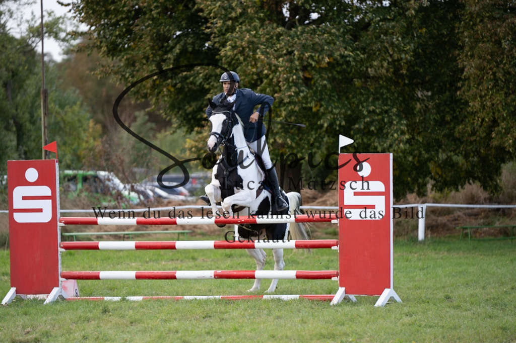 A7V07068 | Pferdefotograf