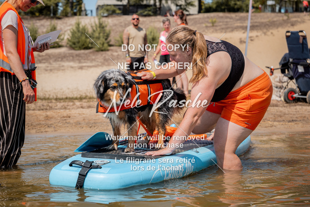 nelerasche_saSUP3_02 | nelerasche