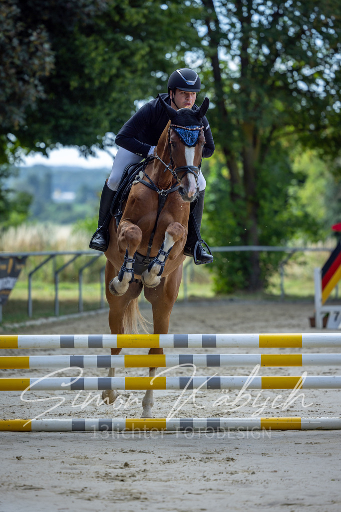 20260704-_3LI6529 | Tierfotografie Pferde, Hunde, Katzen, Haustiere.
Turnierfotografie Reitturniere, Reiten, Springreiten, Dressur in Hanau, dem Main-Kinzig-Kreis und dem Rhein-Main- Gebiet um Frankfurt