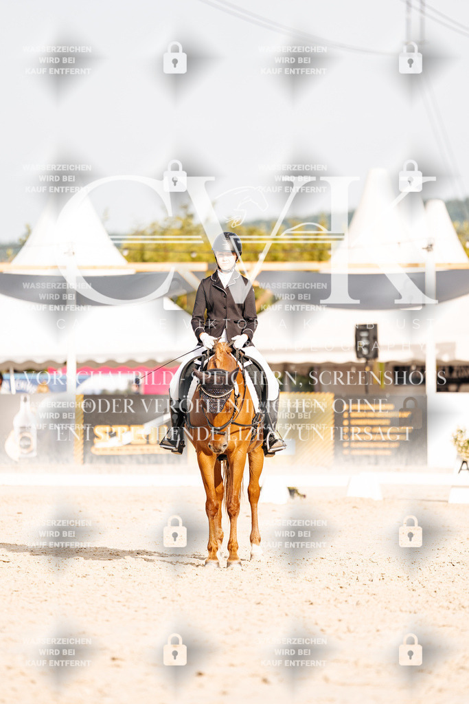 CK904483 | Turnierfotografie Pferdefotografie Trier Rheinland-Pfalz Pferdesport Reitsport Tierfotografie Sportfotografie Pferdevideo Pferdevideografie Equestrianvideography equestrianphotography  - Realisiert mit Pictrs.com