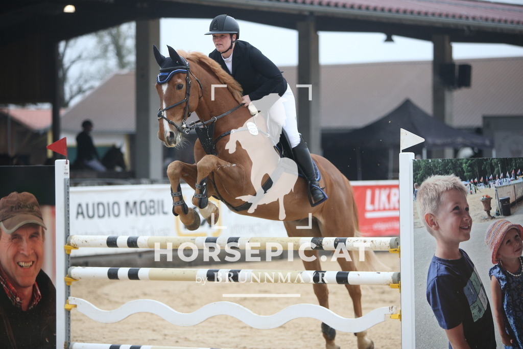 PP013071 | Willkommen bei Brunnmayr - Design & Fotografie – Ihrem Spezialisten für Reitturniere und Pferdeveranstaltungen in Oberösterreich, Salzburg und Bayern! Seit über 17 Jahren sind wir leidenschaftlich dabei.