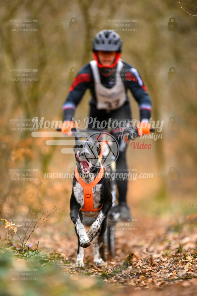 MompixPhotography_ReiatRennen2024_SO_Bike1H-42 | PayLife