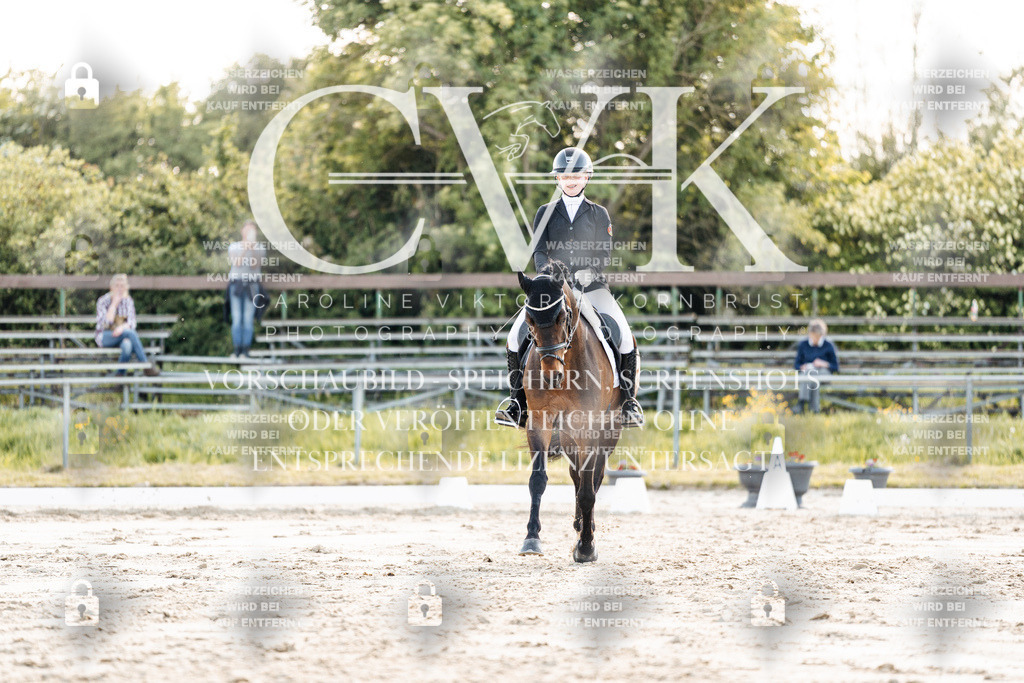 CK909473 | Turnierfotografie Pferdefotografie Trier Rheinland-Pfalz Pferdesport Reitsport Tierfotografie Sportfotografie Pferdevideo Pferdevideografie Equestrianvideography equestrianphotography  - Realisiert mit Pictrs.com