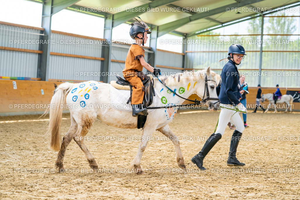 DSC00127 | Pferdegrafie