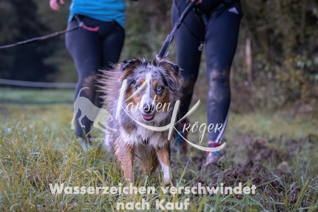 0816_ZZ90146 | kk-dogfotos