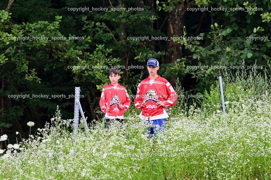 HSC Eagles Poggersdorf vs. VAS Ballhockey  | Besucher Sportzentrum Poggersdorf, HSC Eagles Poggersdorf vs. VAS Ballhockey , HSC Eagles Poggersdorf vs. VAS Ballhockey  am 17.07.2024 in Poggersdorf (Sportzentrum Poggersdorf), Austria, (Photo by Bernd Stefan)