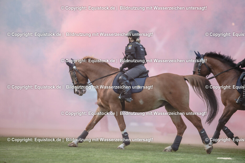 20230526_Pferdenacht_0398 | equistock