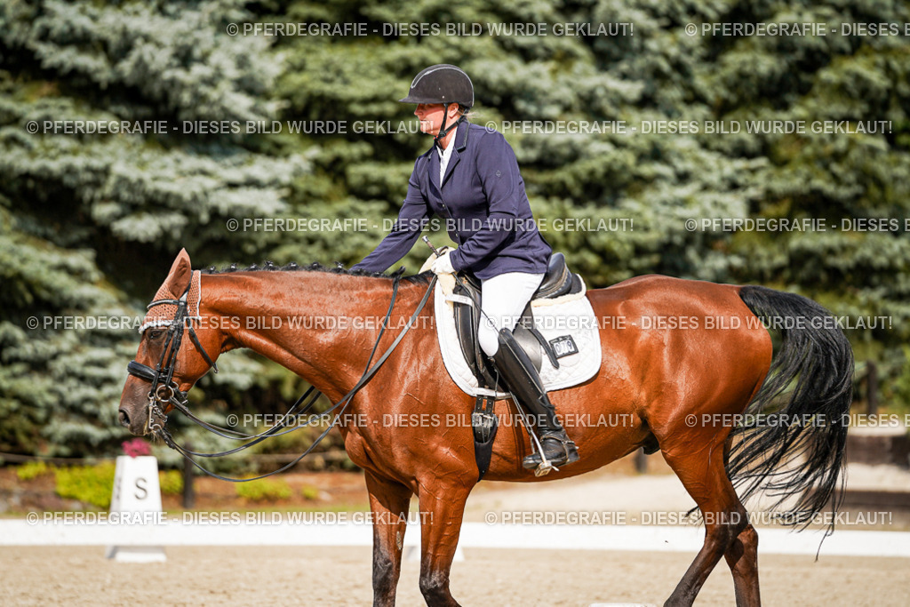 DSC07291 | Pferdegrafie