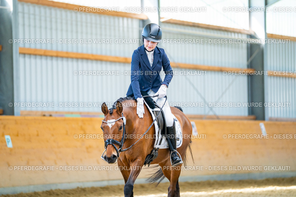 DSC08000 | Pferdegrafie