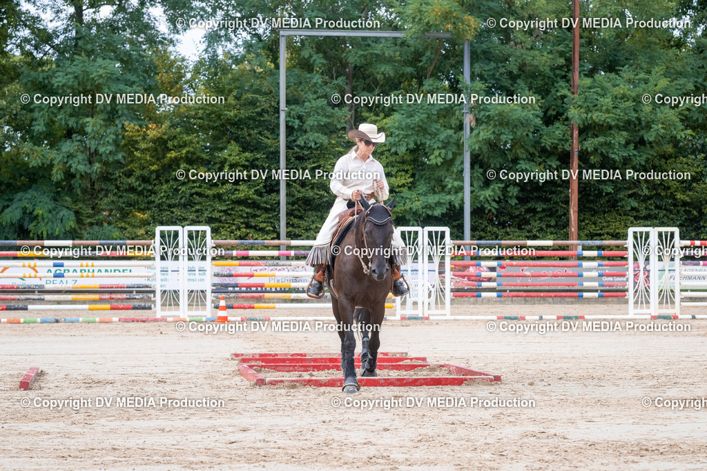 ZS3_5603 | dv-media-shop - Realisiert mit Pictrs.com