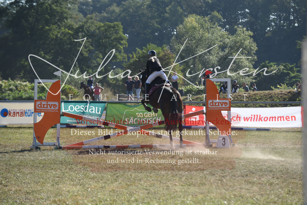 DSC_5845 | Pferde- und Turnierfotografie in Westsachsen. Pferdeportraits, Auftragszeichnungen und intuitive Kunst.